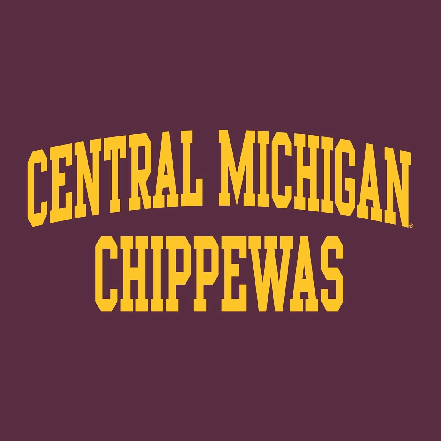 UGP Campus Apparel Women's Iowa Hawkeyes Black Long Sleeve Hooded Tee Shirt - Tigerhawk and Script Hawkeyes in Gold Glitter
