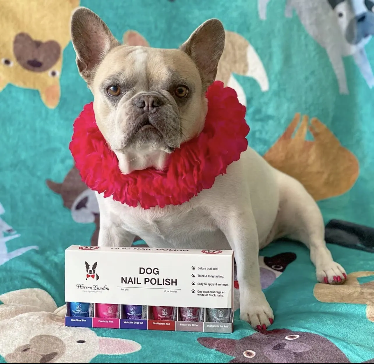 Warren London - Dog Nail Polish in A Bottle - for Premium Coverage and Color - All 6 Colors