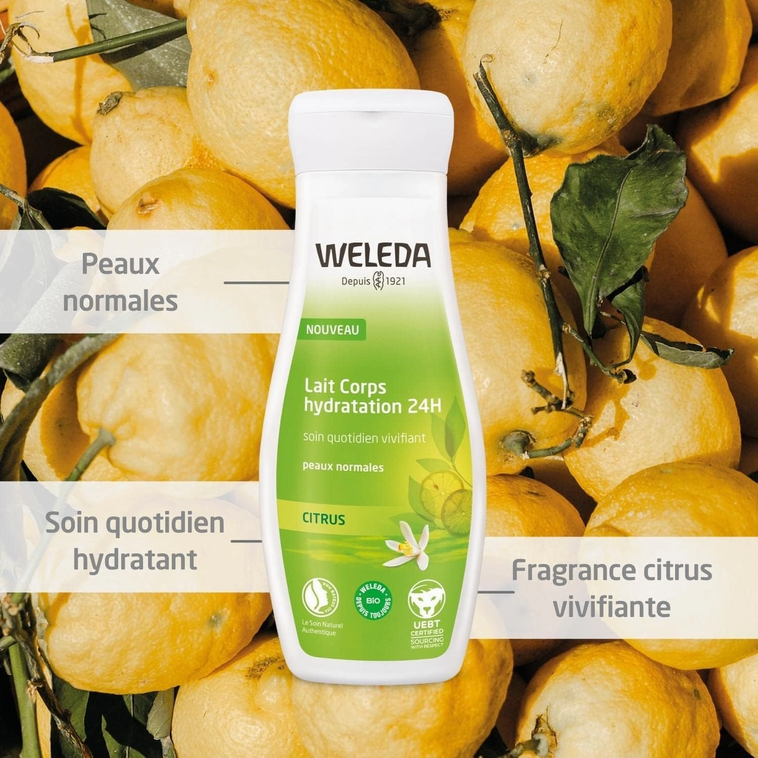 Weleda Refreshing Citrus Body Lotion, 6.8 Fluid Ounce, Plant Rich Moisturizer with Aloe Vera and Coconut Oil (Pack of 2)