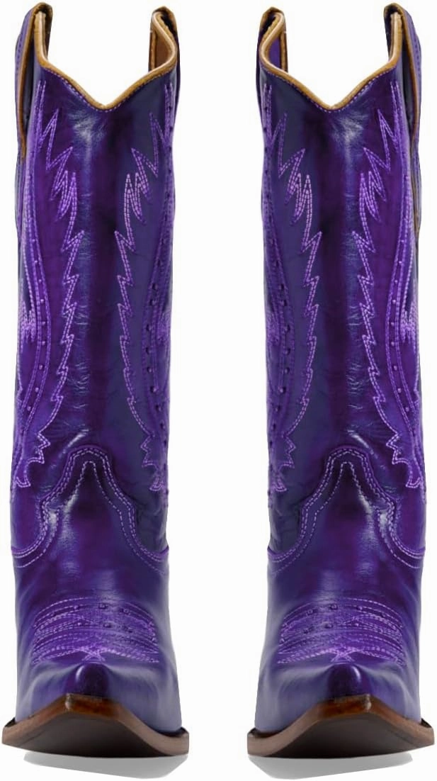 Women Vintage Embroidered Cowboy Boots Knee High Western Boots Chunky Stacked Heel Pointed Square Toe Mid Calf Cowgirl Boots Metallic Matte Pull On V Cut Fall Boot Exotic 4-11 M US