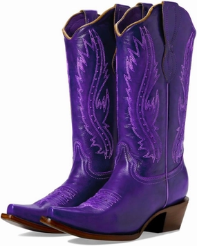 Women Vintage Embroidered Cowboy Boots Knee High Western Boots Chunky Stacked Heel Pointed Square Toe Mid Calf Cowgirl Boots Metallic Matte Pull On V Cut Fall Boot Exotic 4-11 M US